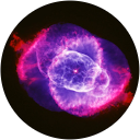 Ann Claudius profile picture